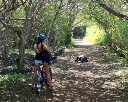 Custom Galápagos Islands tour tailored to travelers’ interests, schedule, and accessibility needs